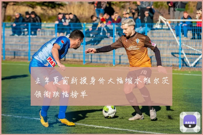 去年夏窗新援身价大幅缩水维尔茨领衔跌幅榜单